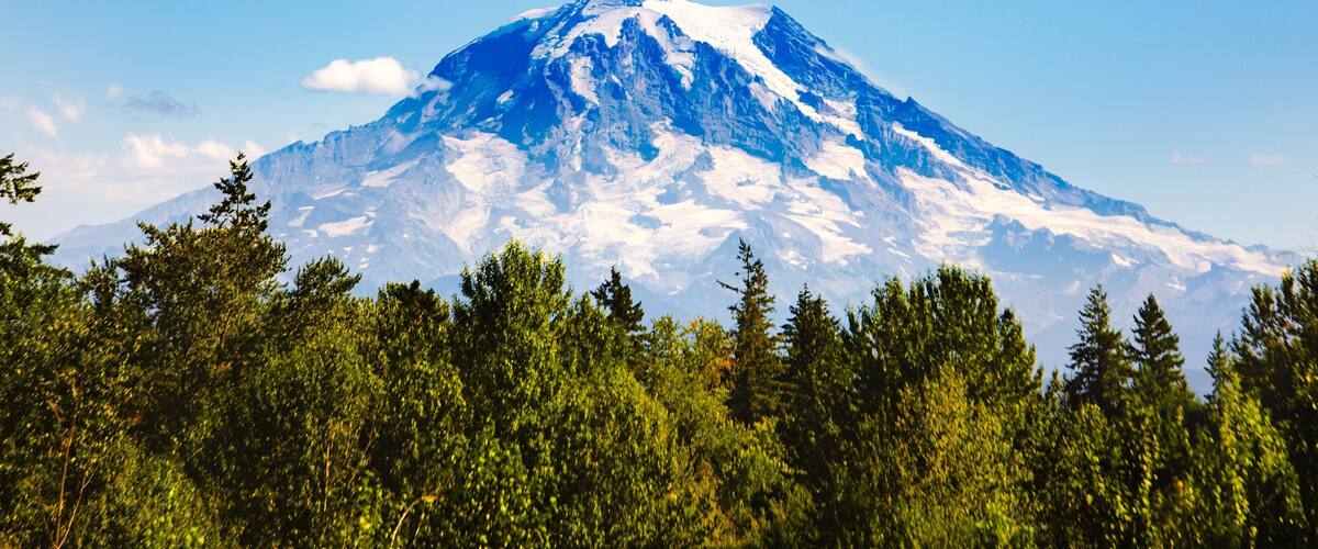 A snow-capped mountain with a clear sky and dense forest in the foreground.