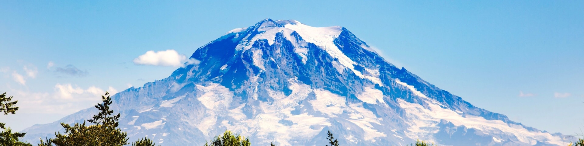A snow-capped mountain with a clear sky and dense forest in the foreground.