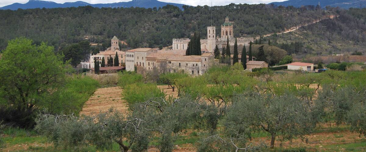 Monestir de Santes Creus (Aiguamรบrcia) - General Overview