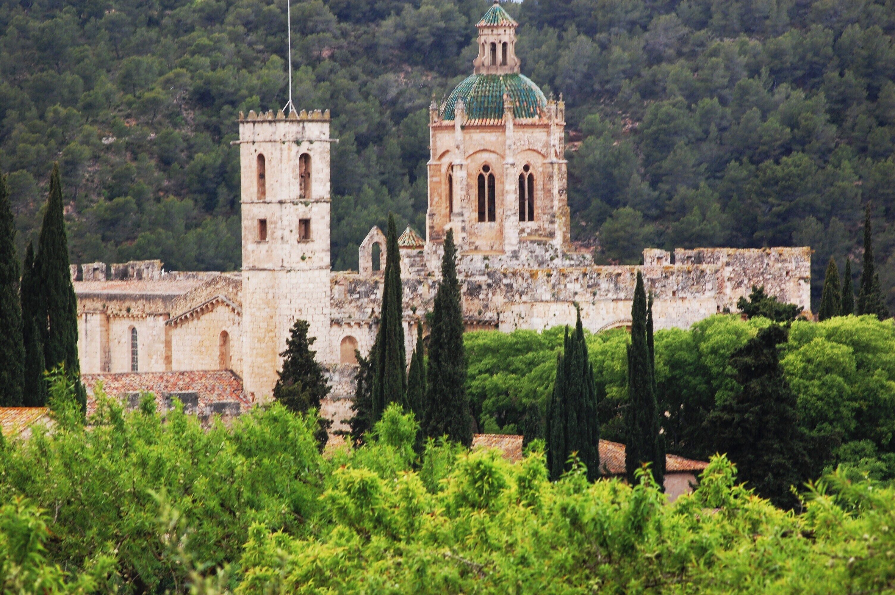 Monestir de Santes Creus (Aiguamúrcia)