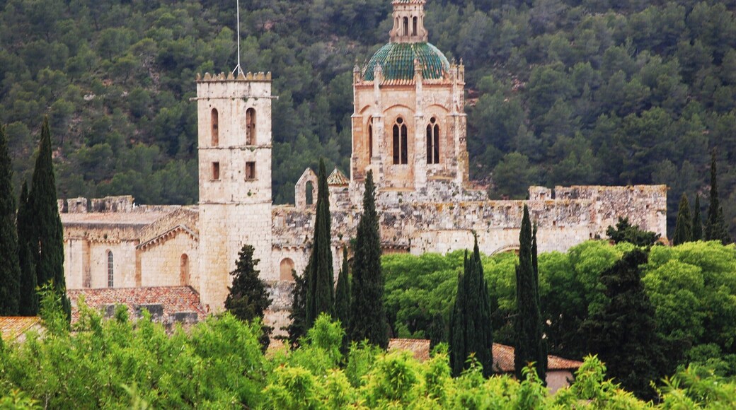 Monestir de Santes Creus (Aiguamúrcia)