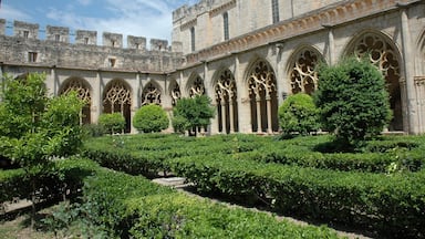 Monestir de Santes Creus - Claustre This is a photo of a monument indexed in the Catalan heritage register of Béns Culturals d'Interès Nacional and the Spanish heritage register of Bienes de Interés Cultural under the reference RI-51-0000196.