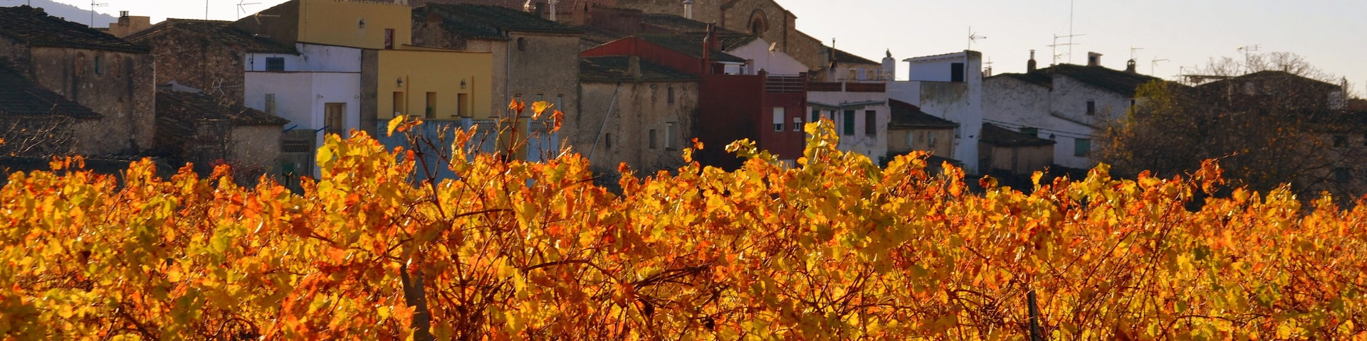 Esglèsia de Santa Maria de les Pobles (Aiguamúrcia)