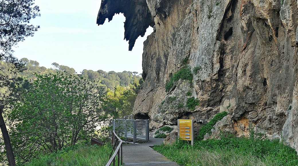 Barranco del Capello-2017