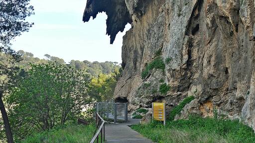 Barranco del Capello-2017