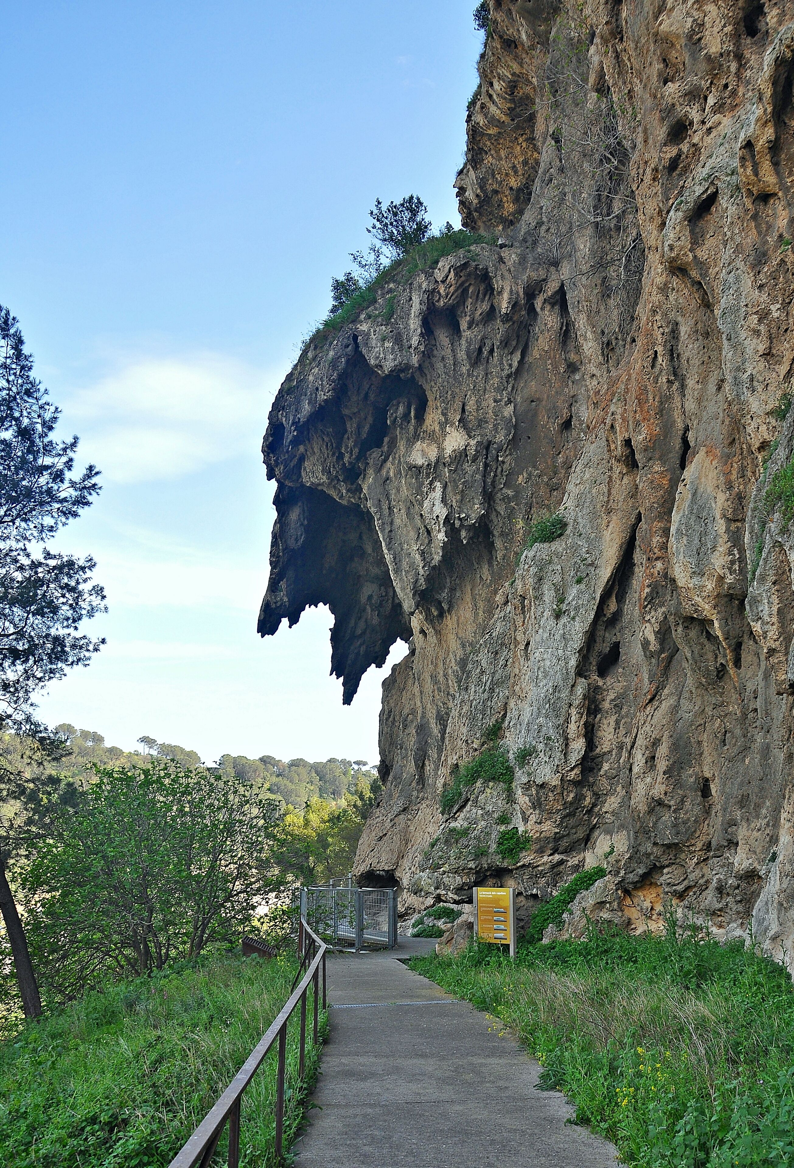 A pathway leading to a cliff with a cave entrance.