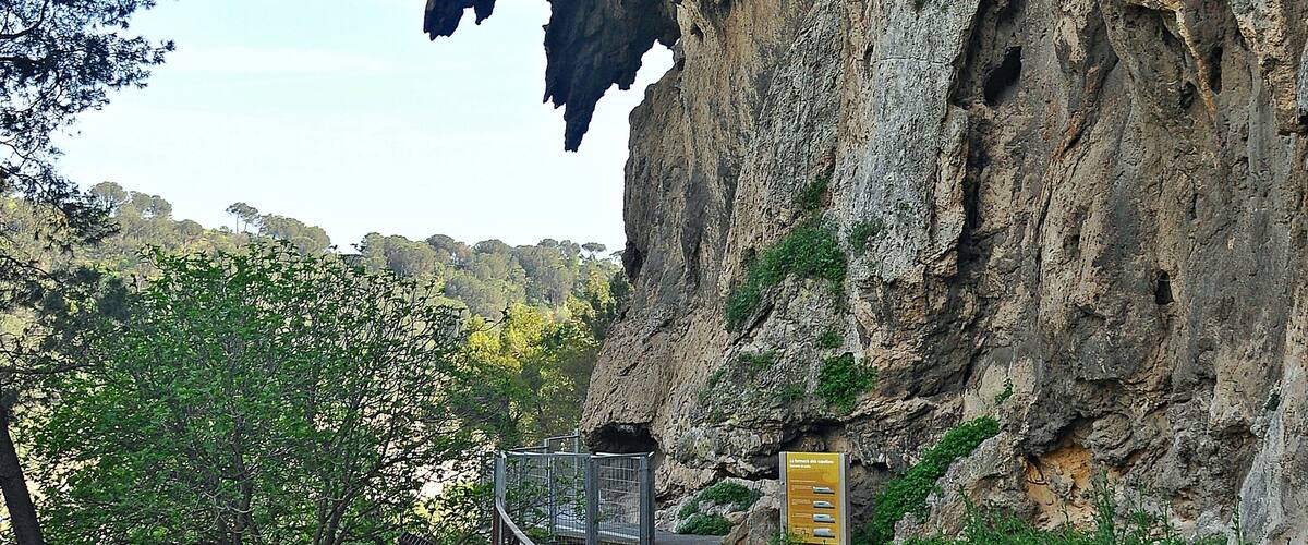 A pathway leading to a cliff with a cave entrance.