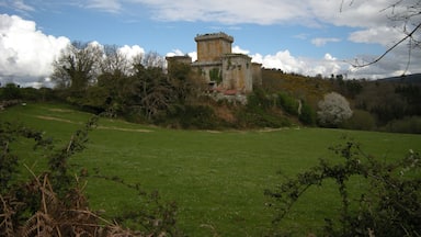 A historic castle on a hill, surrounded by lush greenery and a clear sky.