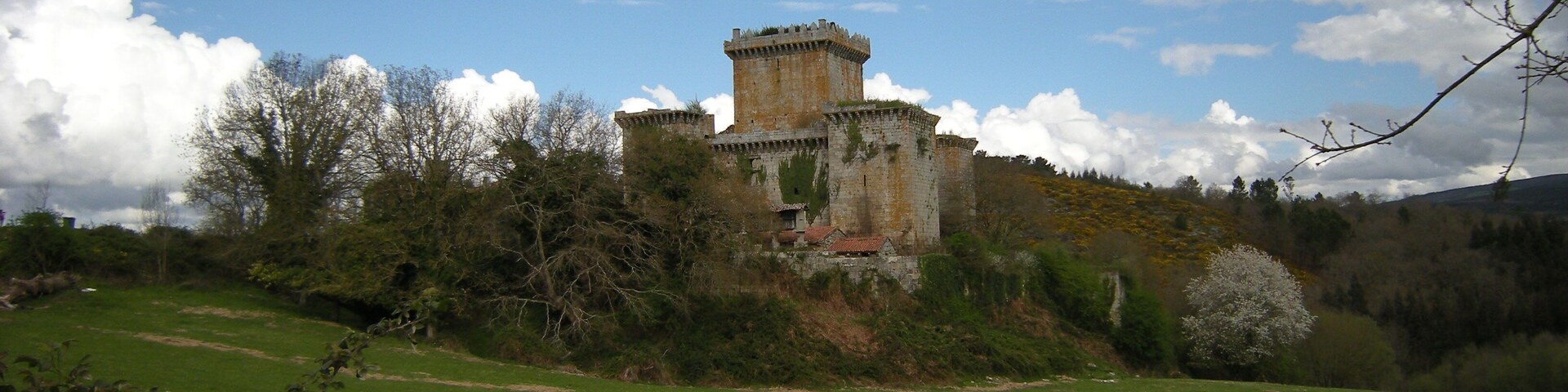Construido a finales del siglo XIV por don Gonzalo Ozores de Ulloa, sobre un escarpado peñasco a orillas del río Pambre que ejerce de defensa natural. Durante años fue escenario de las luchas, primero entre Pedro I y Enrique de Trastamara y después entre la nobleza y el arzobispo de Santiago, Don Alonso de Fonseca y Acevedo. Después de pasar por manos de los Ulloa, en 1484, paso a propiedad de los condes de Monterrei. En 1895, el duque de Alba vende la fortaleza con sus bienes y otros edificios a D. José Soto, vecino de Palas de Rei, por 27.000 ptas. Por último, después de pertenecer a la familia Moreiras Blanco desde 1912 hasta 1974. Desde entonces y hasta hace unos meses, era propiedad de D. Manuel Taboada Fernández, conde de Borraxeiros, que como última voluntad testamentaria cedió el castillo a los Hermanos Misioneros de los Enfermos Pobres, orden religiosa con sede en el barrio vigués de Teis.