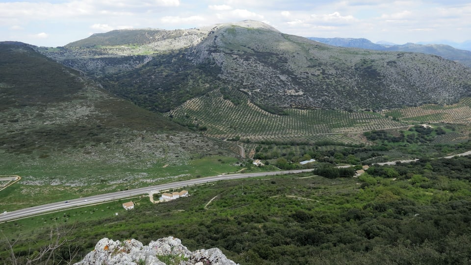 A mountainous landscape with terraced vineyards, a winding road, and scattered buildings.
