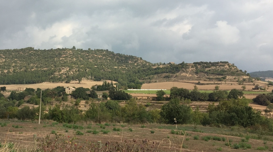 La Borda des de cal Robert.