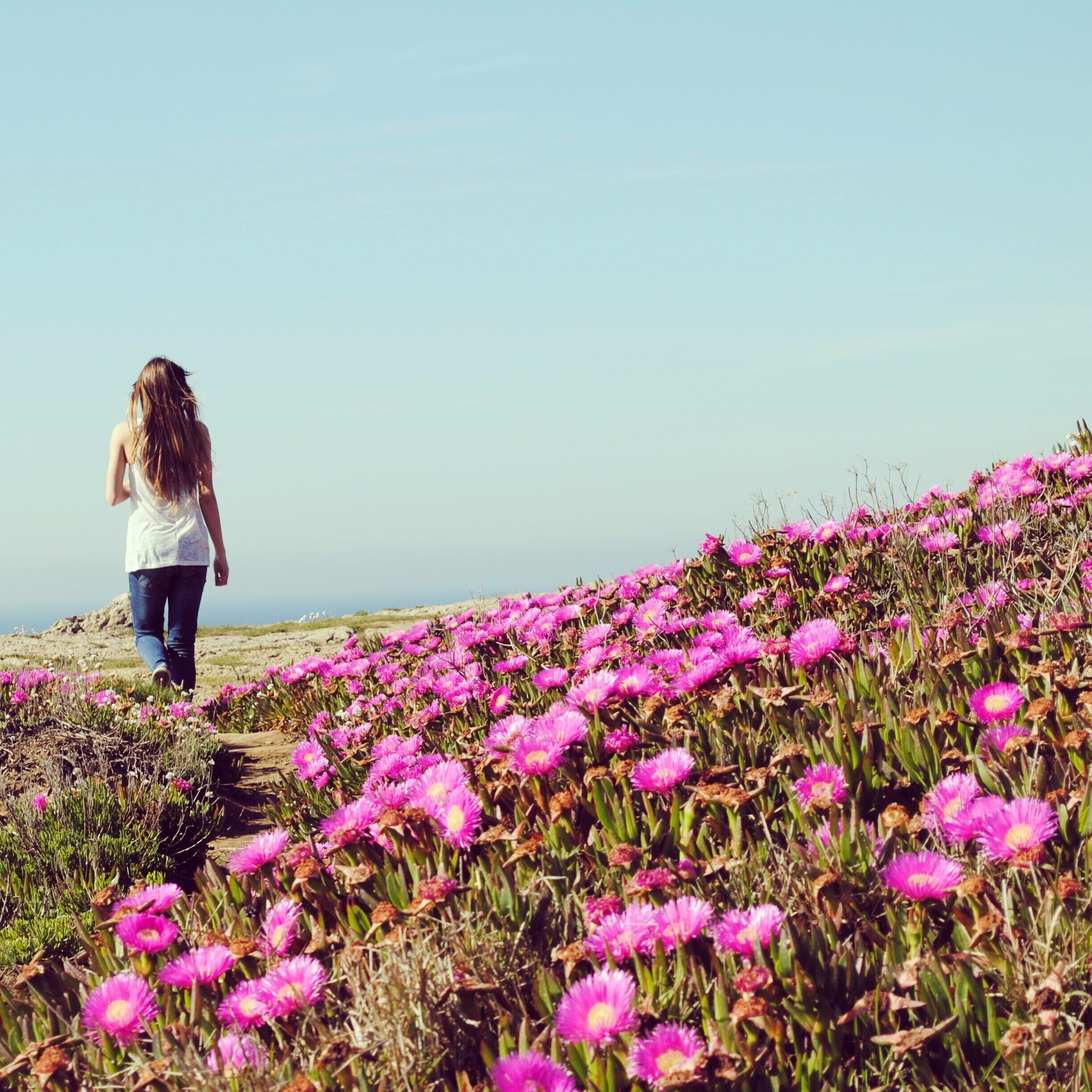 Beautiful, isn't it?

#hiking #flowers #spring #spain 