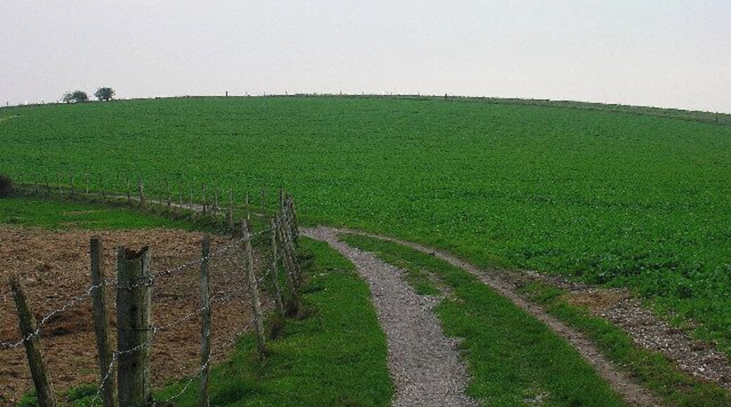Mount Pleasant, Woodingdean. Looking south with the bridleway in the foreground. If you look closely to the left of the two bushes and the dark fencepost, the grey outline of the trig point on the summit can just about be made out.