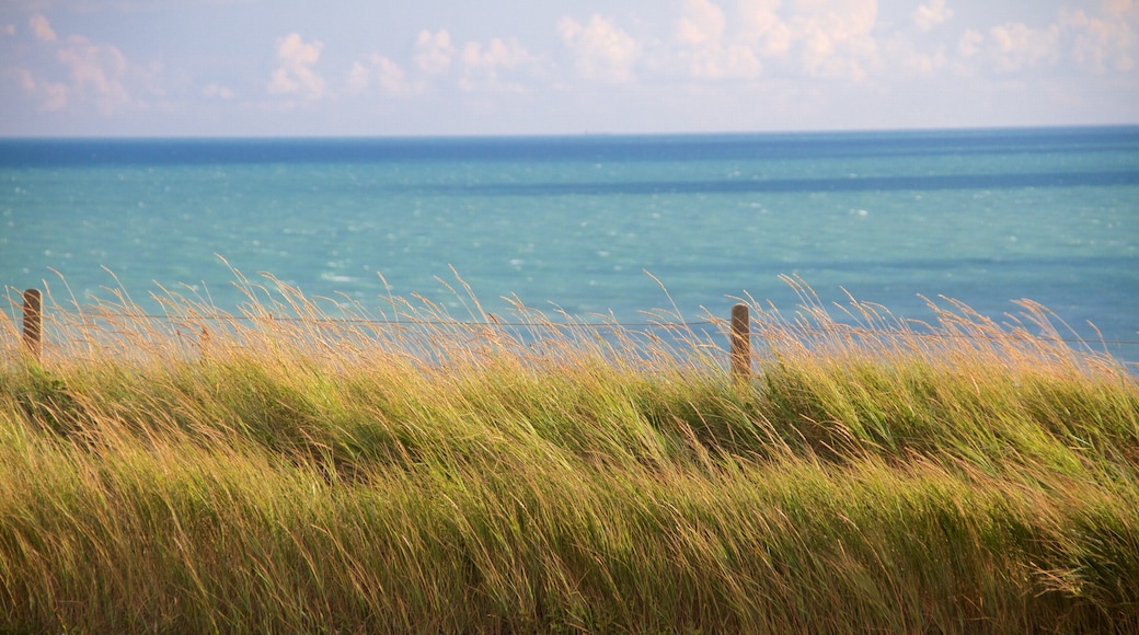 布萊頓 其中包括 一般的海岸景觀 和 寧靜的景觀