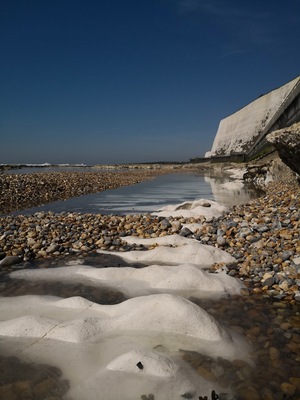 Saltdean is a great place and I walk along the undercliff most days.