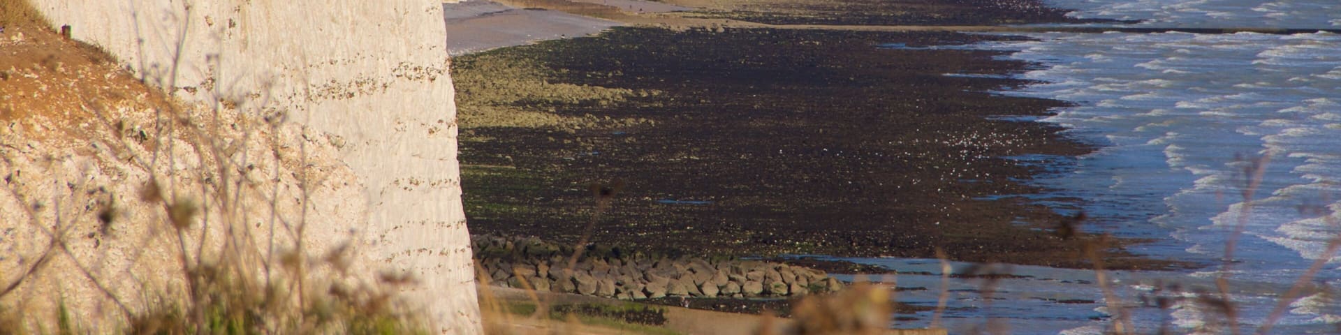 Brighton featuring rugged coastline and general coastal views
