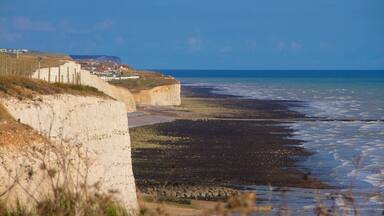 Brighton showing general coastal views and rugged coastline
