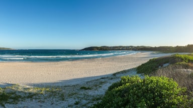 Beautiful beach in central coast australia