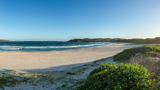 Beautiful beach in central coast australia