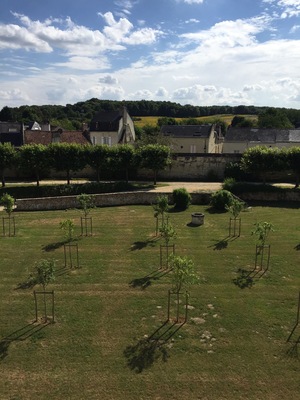 Fontevraud