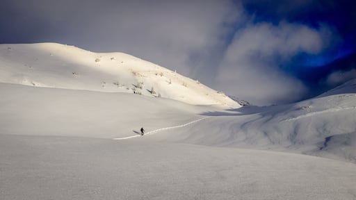 Pendio montuoso innevato con una persona che scia lungo un tracciato.