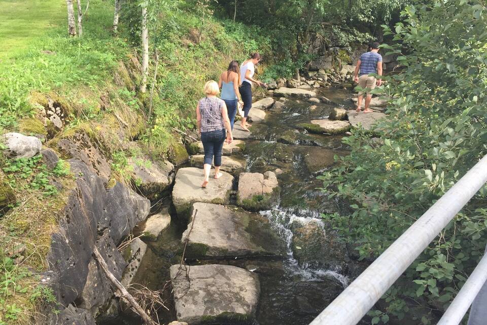A group of people walking on a rocky stream surrounded by greenery.
