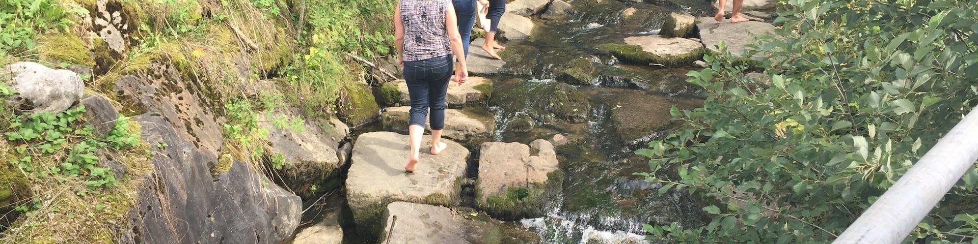 A refreshing walk through the stream in the summer heat
