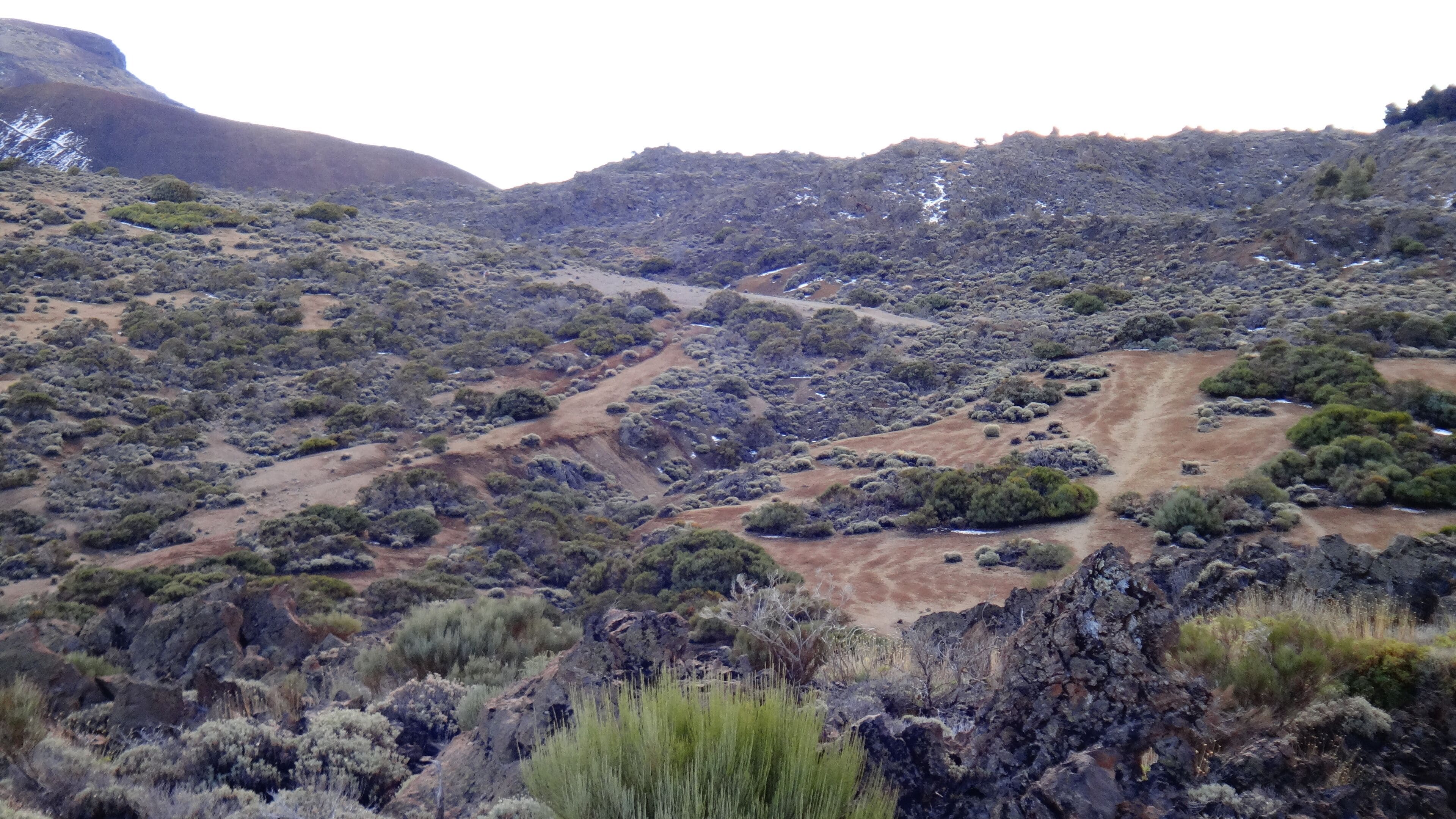 <h2>Top-rated places to stay near the beach in Los Realejos</h2>