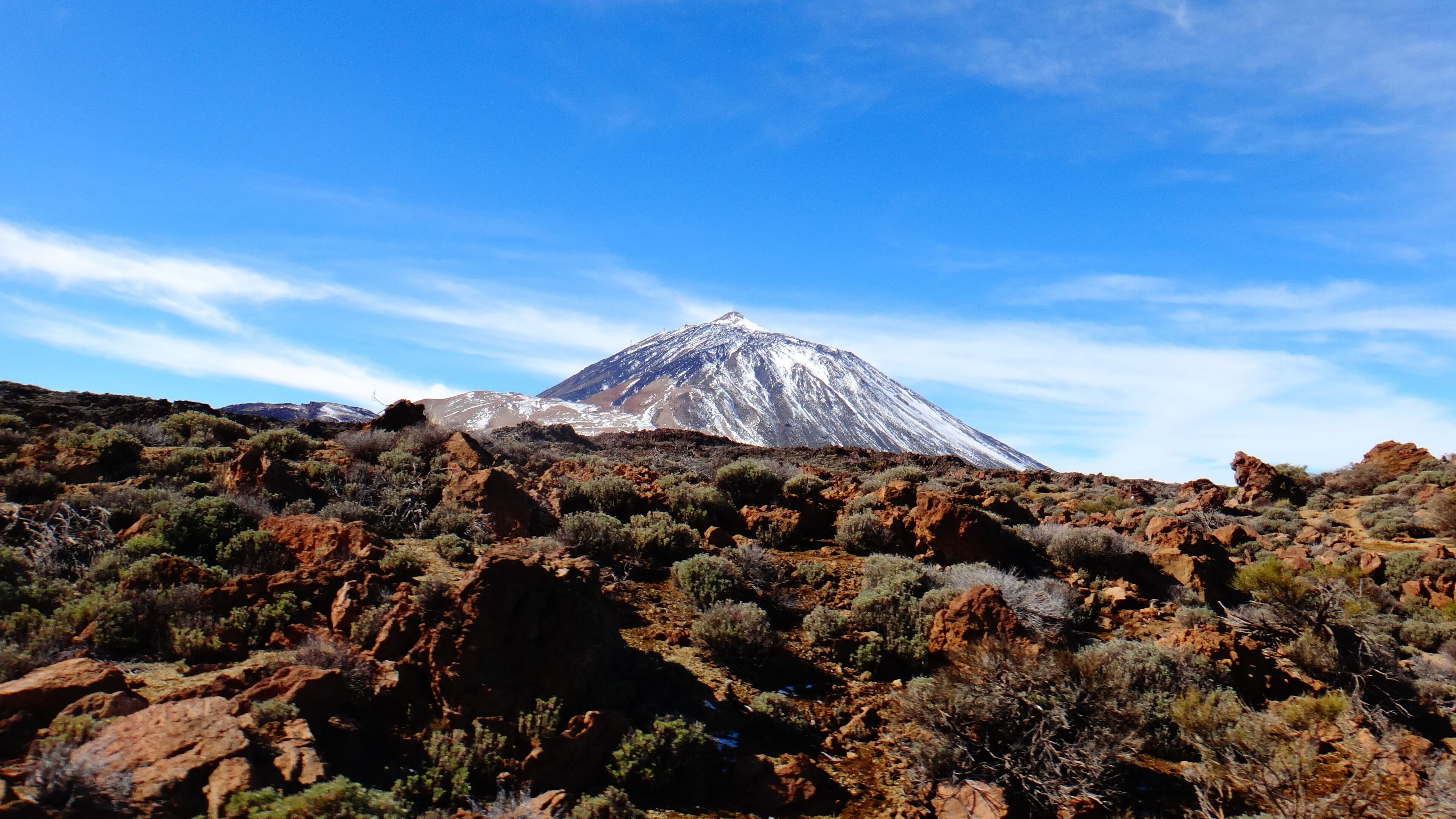 Los Realejos, Santa Cruz de Tenerife, Spain
