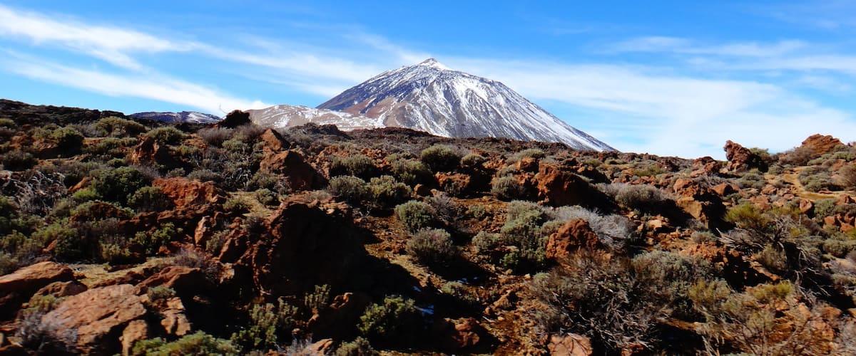 Los Realejos, Santa Cruz de Tenerife, Spain