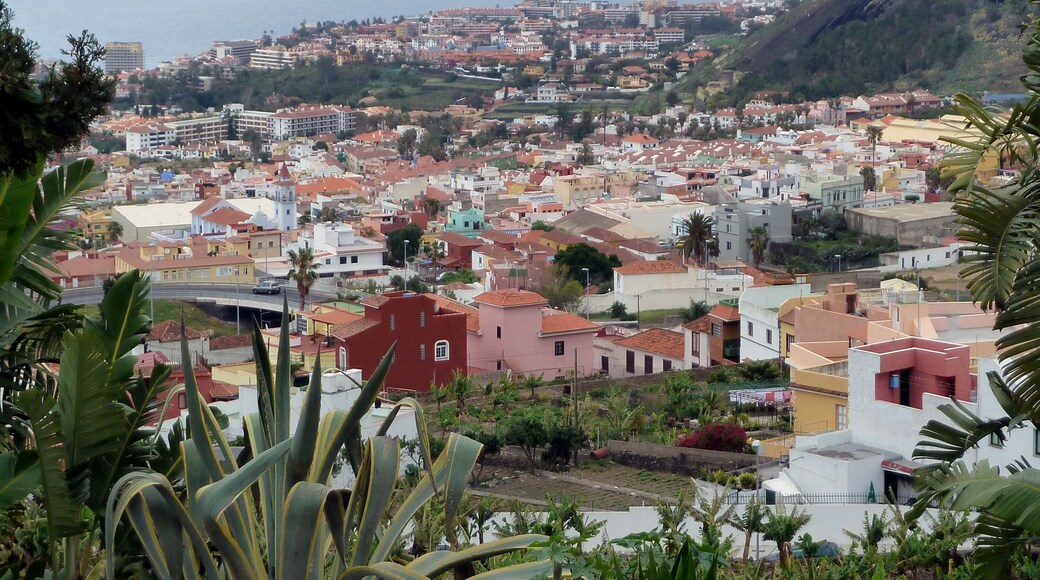 Puerto de la Cruz. Tenerife, Canary Islands, Spain