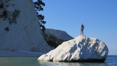 A person standing on a large white rock in clear water, with a cliff and trees in the background.