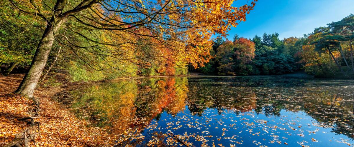 A serene lake surrounded by autumn trees reflecting the sky.