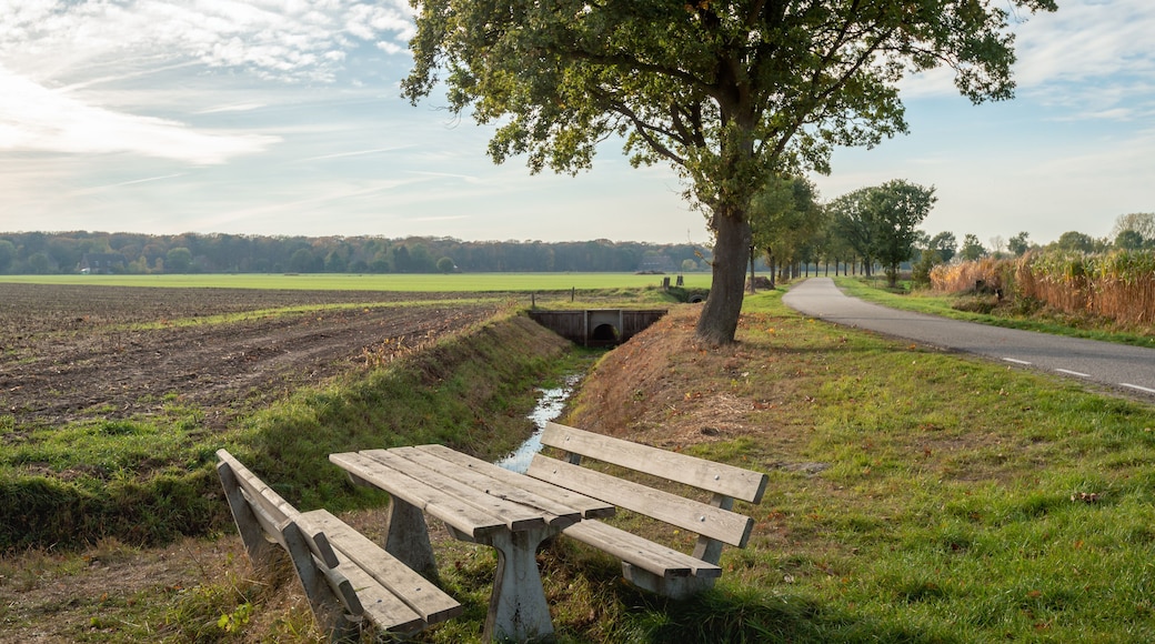 Wooden picnic set in a rural setting