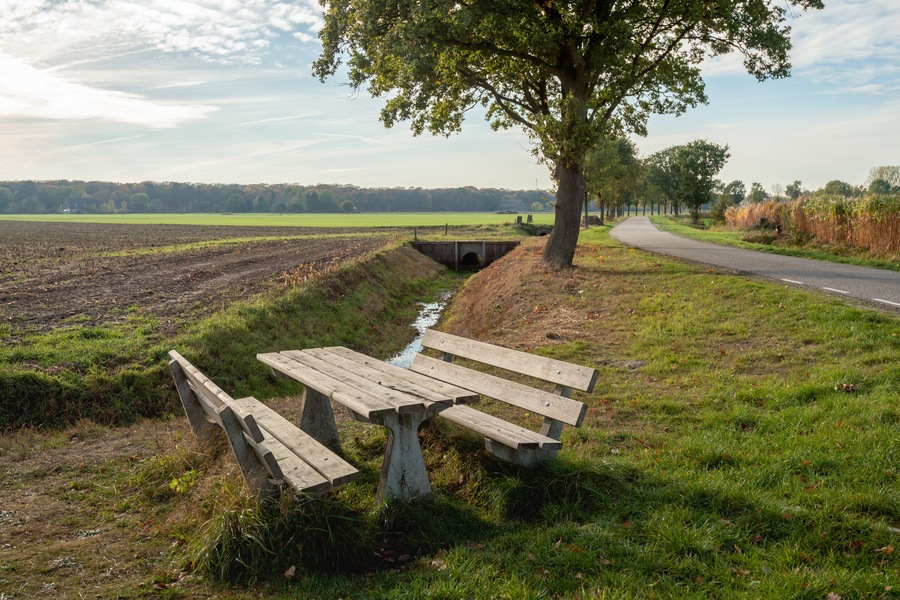 Wooden picnic set in a rural setting