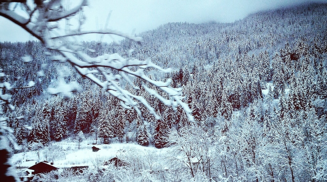 Inside a snow globe!