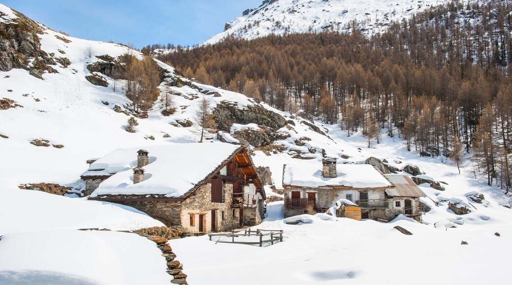Le Monal hamlet of Sainte-Foy-Tarentaise, Savoie department, Rhone-Alpes region, France, Europe
