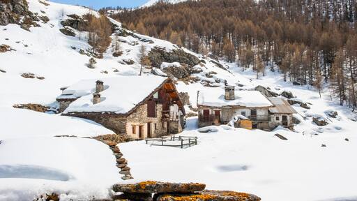 Sainte-Foy-Tarentaise