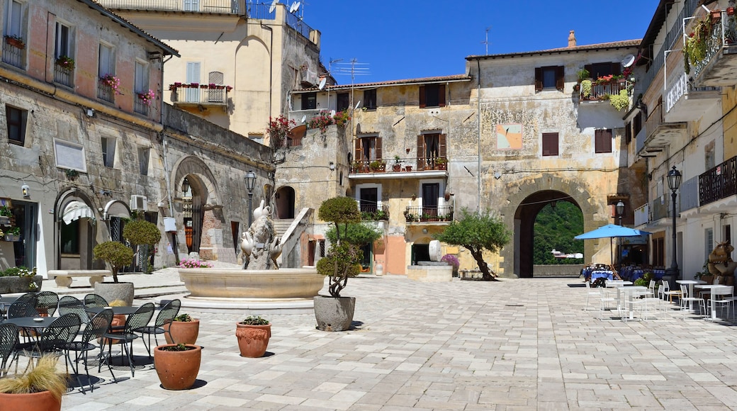 ์ฐ ํ ๋ฆฌ์ฒด ์น๋ฅด์ฒด์ค