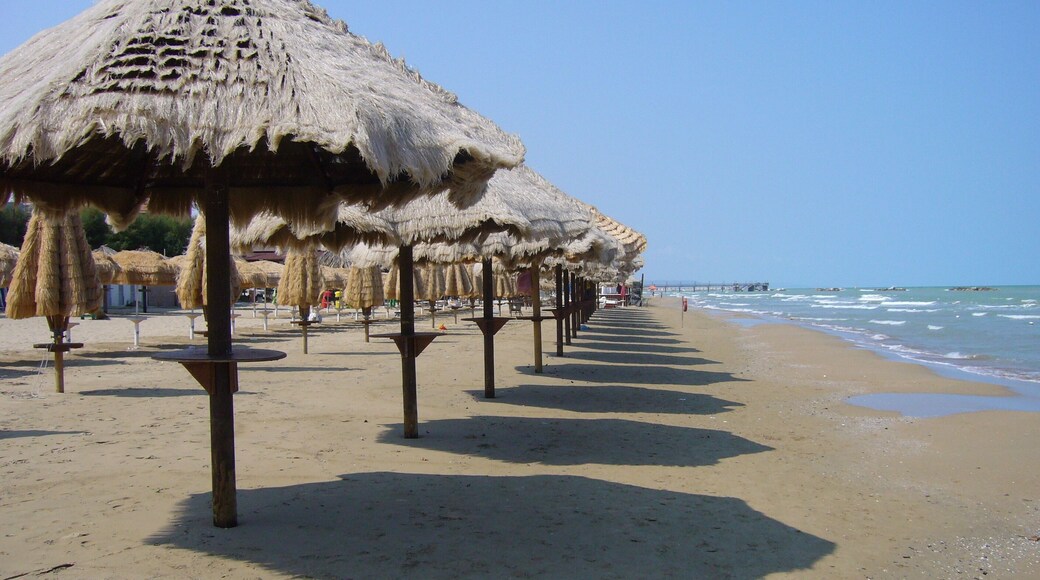 Palme sulla spiaggia di fine estate