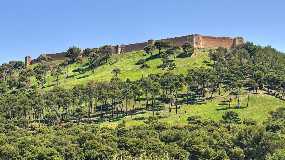 A hill with a historical fortification on top, surrounded by dense green trees.