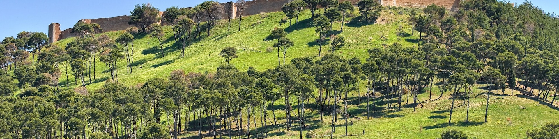 A hill with a historical fortification on top, surrounded by dense green trees.