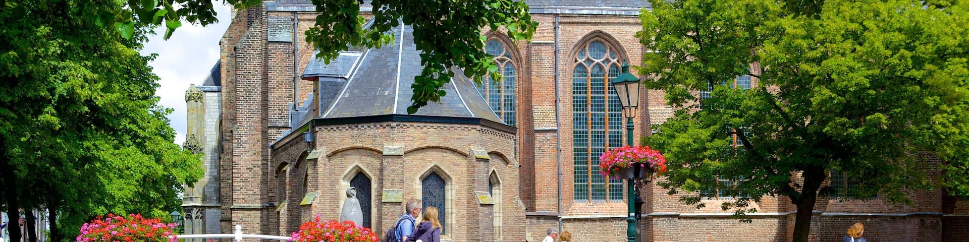 The Hague featuring a river or creek, heritage elements and a bridge