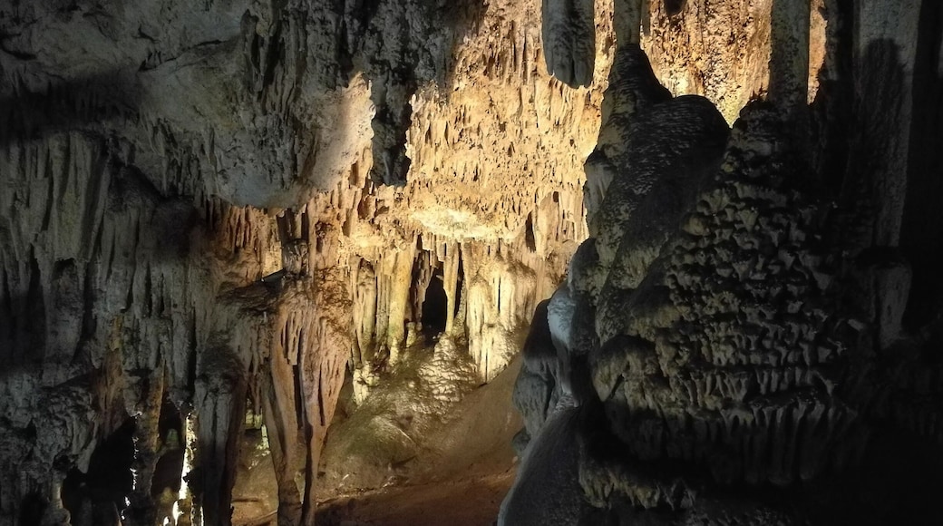 Its difficult to do justice with a camera as to how beautiful and awe inspiring the caves of nerja are