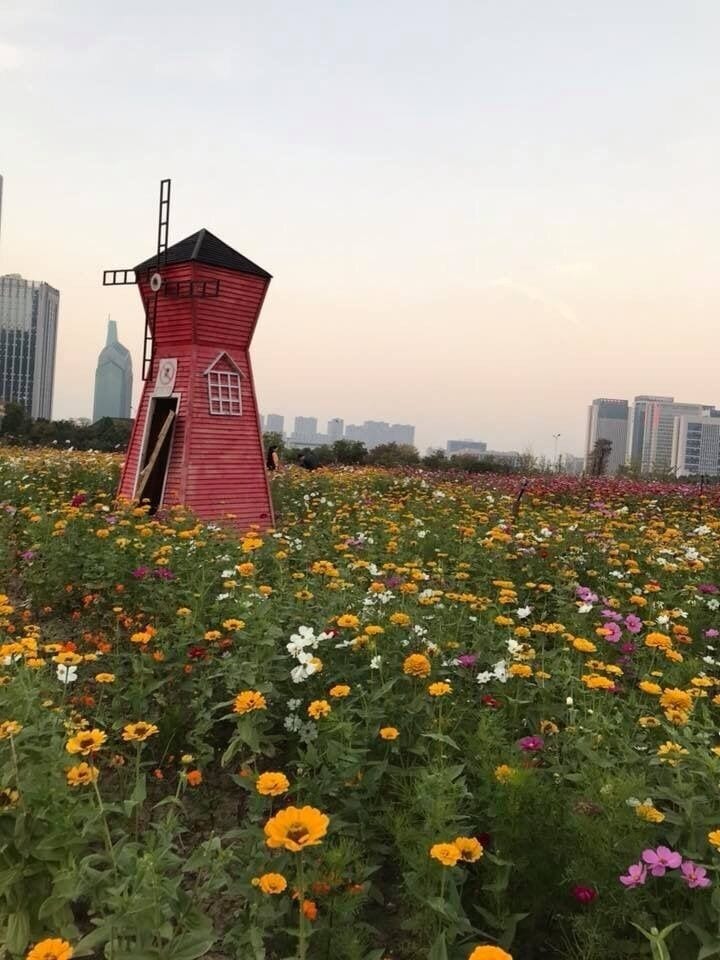 Zhuji is a county-level city under the administration of the prefecture-level city of Shaoxing in China's southeastern Zhejiang province, located about 40 miles south of Hangzhou. 