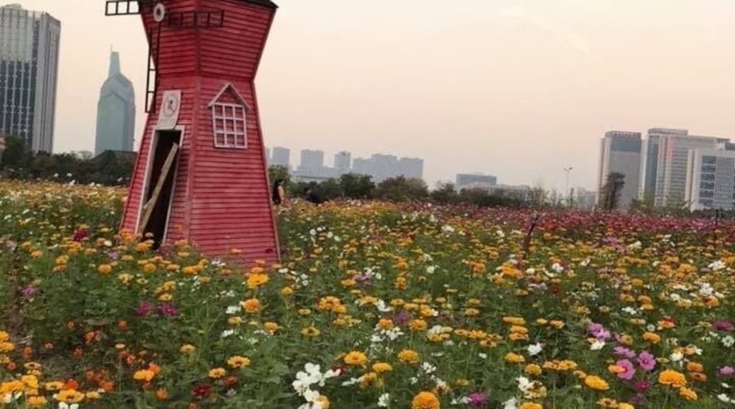 Zhuji is a county-level city under the administration of the prefecture-level city of Shaoxing in China's southeastern Zhejiang province, located about 40 miles south of Hangzhou.