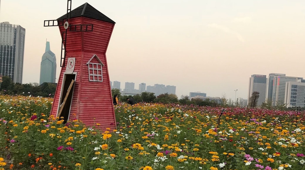 Beautiful park in downtown Zhuji