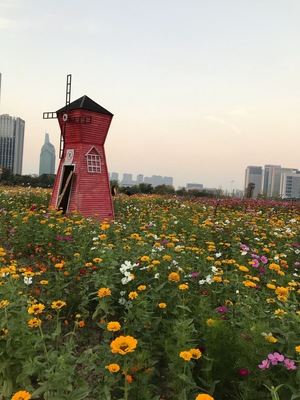 Beautiful park in downtown Zhuji