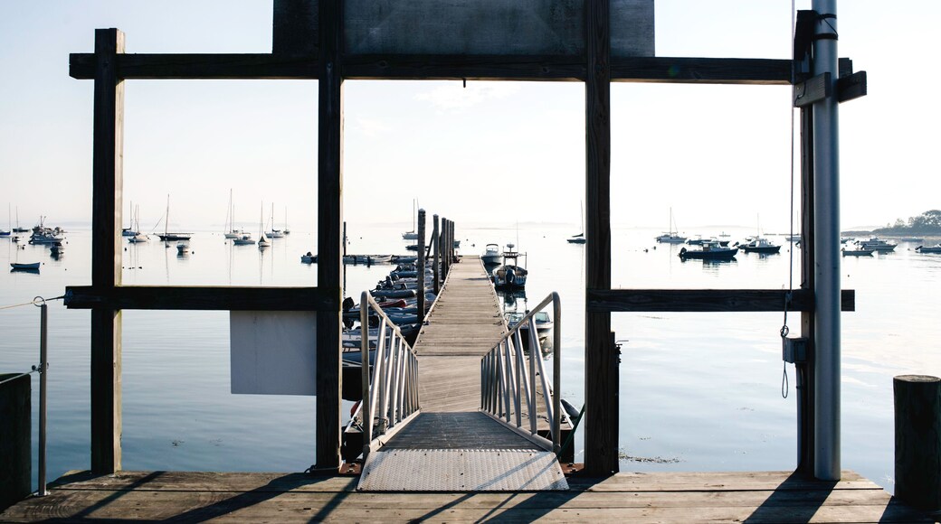 Early morning harbor in Maine