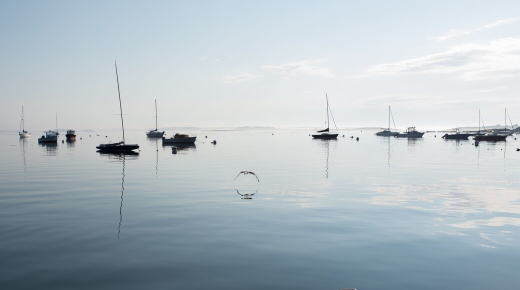 Early morning harbor in Maine